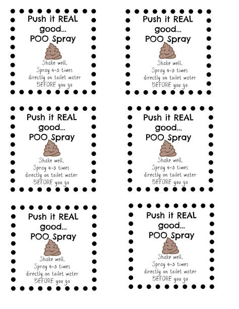 Poo Pourri Printable Instructions