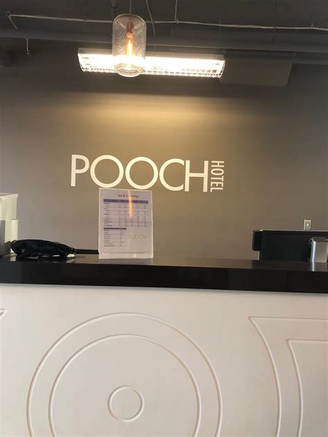 Pooch Hotel Clients Dog WagCam Wag Hotels Pooch Hotel