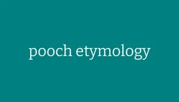 Pooch Dog Etymology