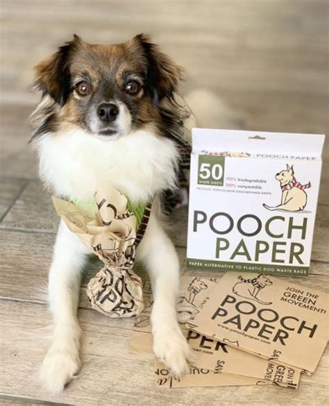 pooch paper shark tank update