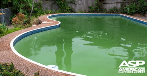Pool and Green Oasis Design Ideas