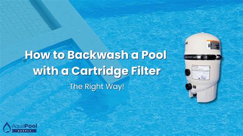 Pool Cartridge Filter Backwash