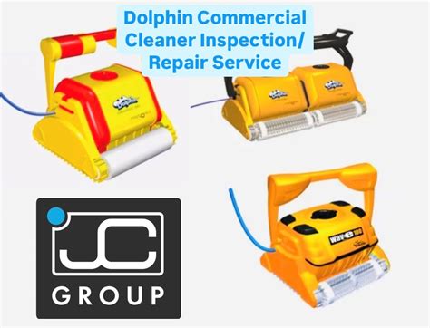 pool cleaner inspection