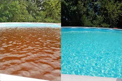 Pool Is Brown When Opening