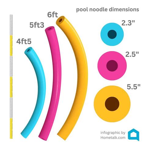 Pool Noodles Dimensions
