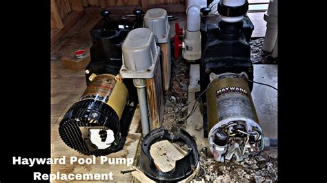 Pool Pump In Ground
