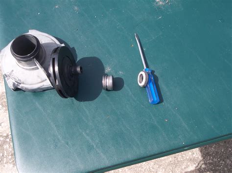 Pool Pump Shaft Not Spinning