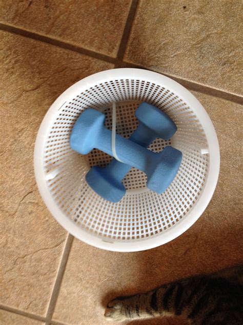 Pool Strainer Basket Stuck