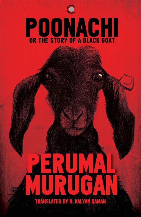 poonachi or the story of a black goat