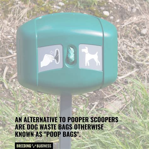 Pooper Scooper Alternative