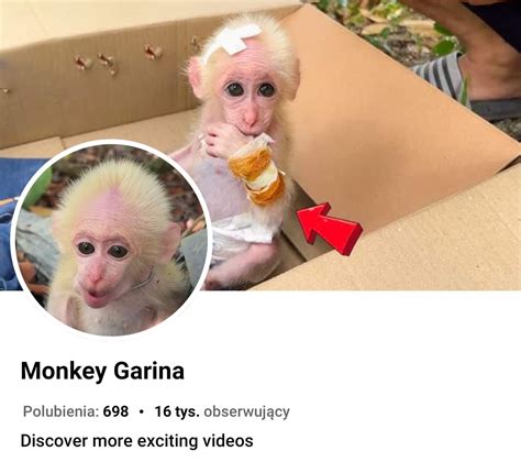 poor monkey garina