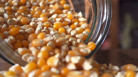 Pop Remaining Popcorn Kernels