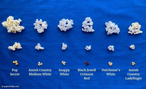 Popcorn Without Hulls Or Kernels