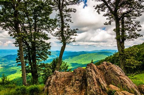 Destinasi Wisata Virginia: Temukan Permata Tersembunyi dan Wawasan Menarik