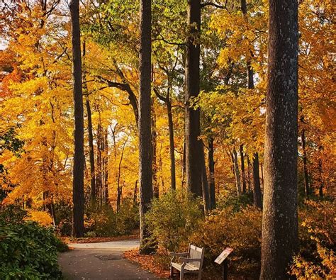 popular travel packages in norfolk for fall