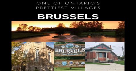 population of brussels ontario