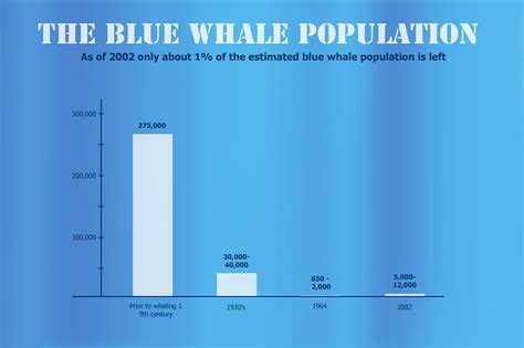 population of whales 2023