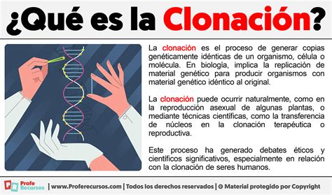 Por Que Es Importante La Clonacion