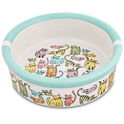 porcelain cat food bowls