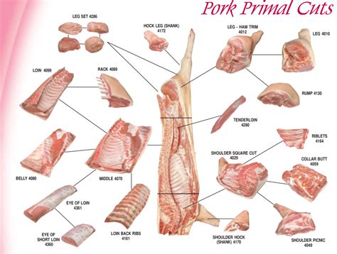 Pork Leg Meat Cuts