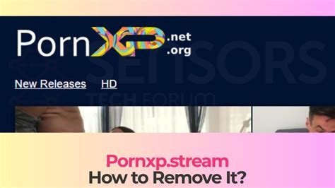 pornxp. com
