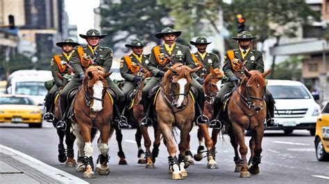 porque se llaman carabineros