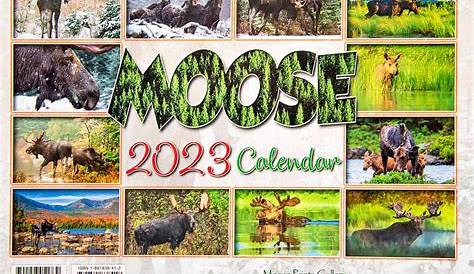 Top 7 Best Moose Calendars 2023