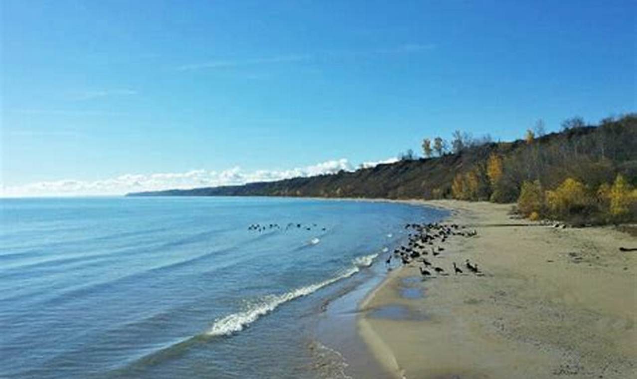 Discover the Enchanting Beauty of Port Washington South Beach Park: A Photographer's Guide