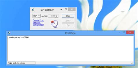 Port Listener Linux