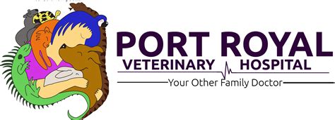 port royal veterinary hospital port royal sc