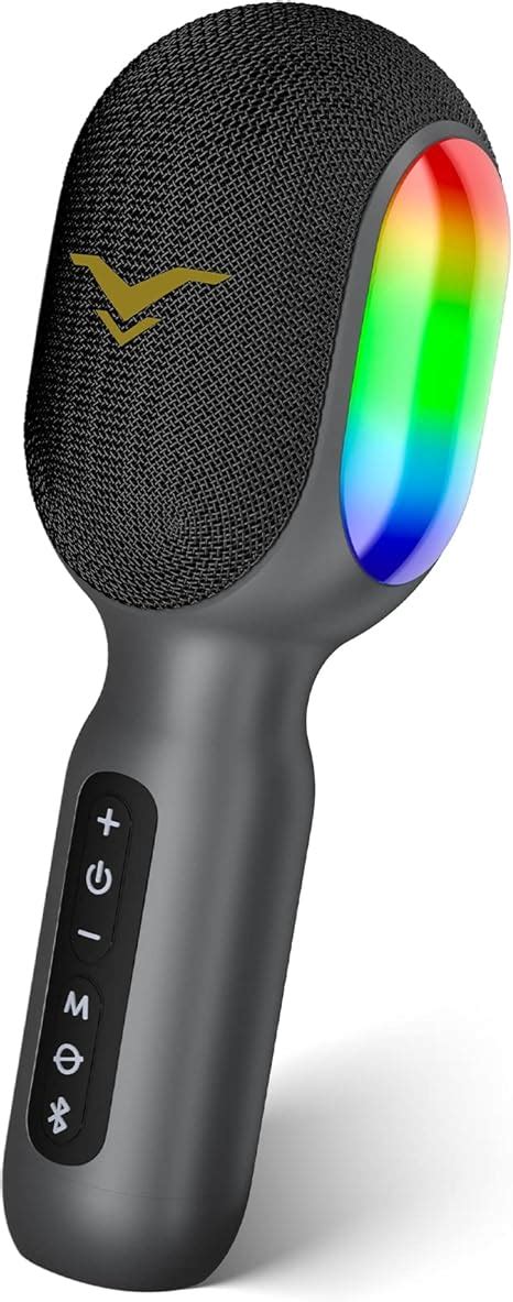Portable Handheld Microphone