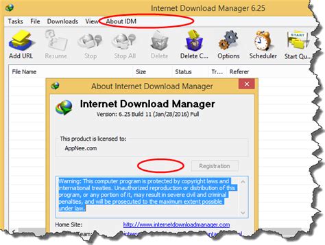portable internet download manager