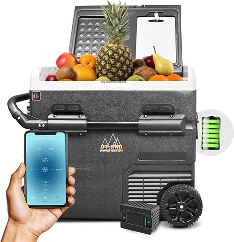 portable power pack for camping fridge