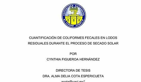 (DOC) UNIVERSIDAD AUTONOMA DE CIUDAD JUAREZ INSTITUTO DE CIENCIAS
