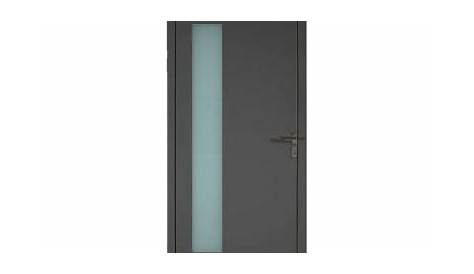 Porte pivotante transparent/silver 80 cm (BN)