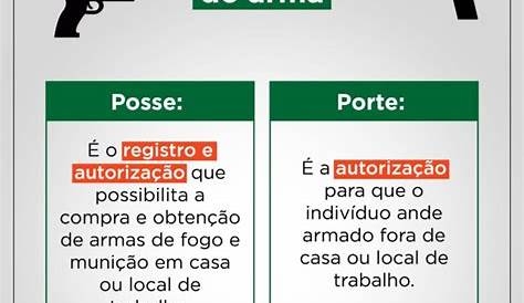 Como funcionam o porte e a posse de armas de fogo no Brasil?