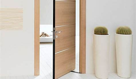 Image result for PIVOT DOOR DETAILS Pivot doors detail