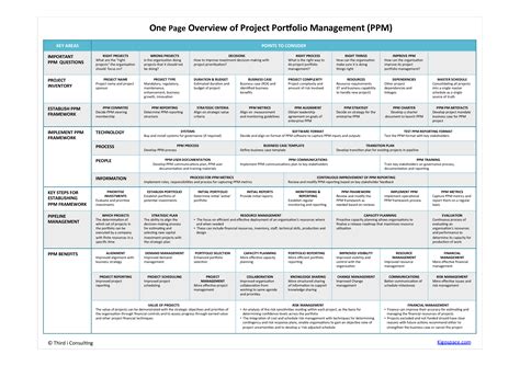 Portfolio Management Plan Template