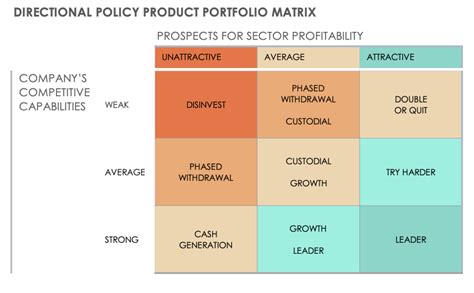 Portfolio Matrix Examples