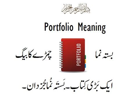 portfolio means in urdu