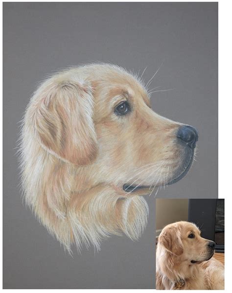 Portrait Of Pet Drawn