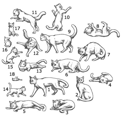 reference cute cat poses Google Search Cat illustration, Cats