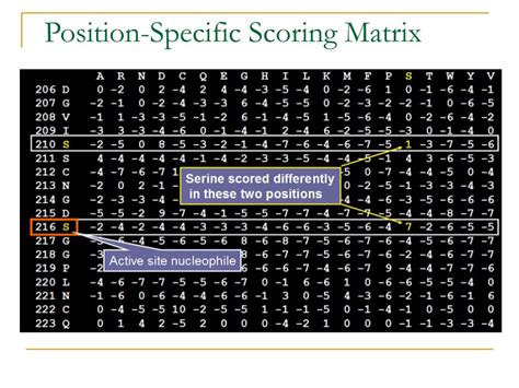 position specific scoring matrix