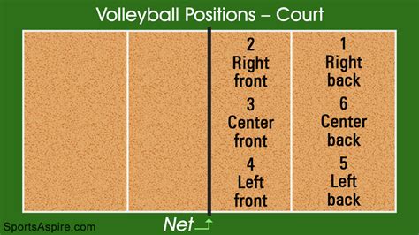 Volleyball Positions Know about Volleyball Rules & Players Positions