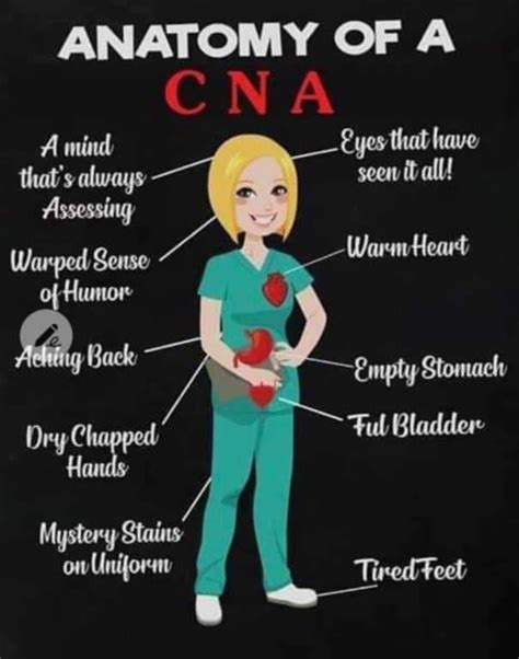 Positions Cna