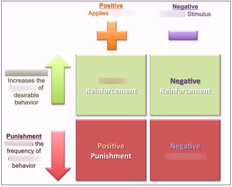 positive and negative reinforcement and punishment quizlet