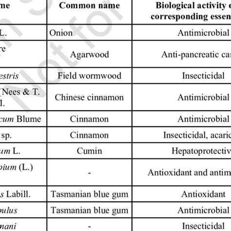 Positive Effects Of Essential Oils