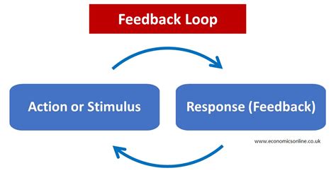 Positive Feedback Loop Examples Ess