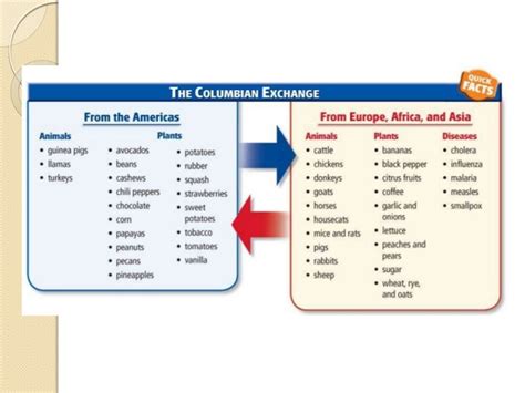 positive impact of columbian exchange