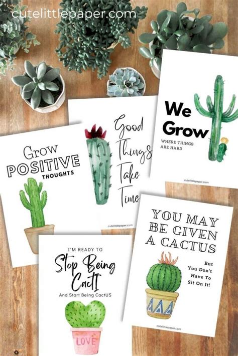 Positive Succulent Quotes
